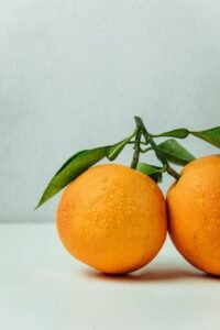 Citrus Fibers